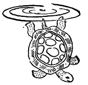 Откуда взялись броненосцы - i_005.png