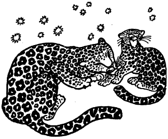 Откуда взялись броненосцы - i_006.png