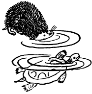 Откуда взялись броненосцы - i_008.png