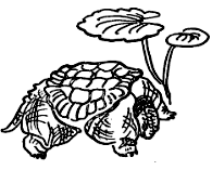 Откуда взялись броненосцы - i_009.png