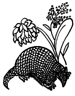 Откуда взялись броненосцы - i_011.png