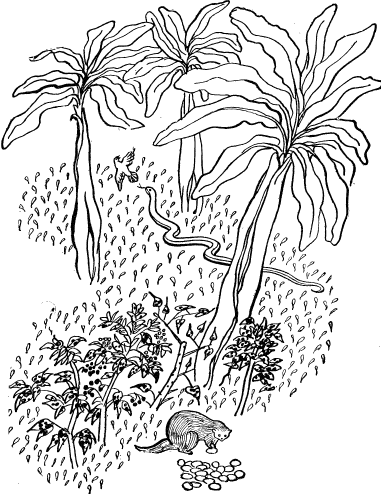 Рикки-Тикки-Тави - i_010.png