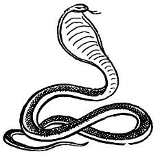 Рикки-Тикки-Тави - i_011.png