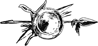 Великая дуга - i_022.png