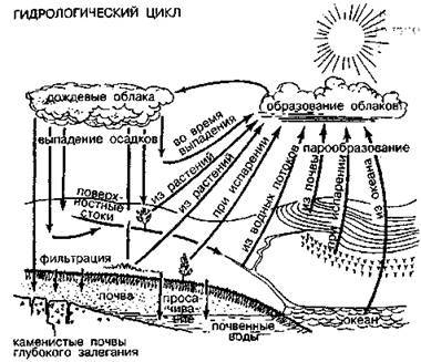 Шокирующая правда о воде и соли - any2fbimgloader0.jpeg