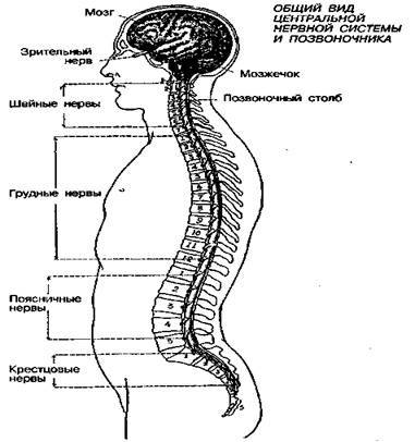 Шокирующая правда о воде и соли - any2fbimgloader14.jpeg