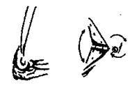 Шокирующая правда о воде и соли - any2fbimgloader22.jpeg