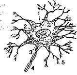Шокирующая правда о воде и соли - any2fbimgloader28.jpeg