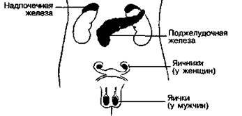 Шокирующая правда о воде и соли - any2fbimgloader31.jpeg