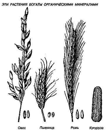 Шокирующая правда о воде и соли - any2fbimgloader33.jpeg