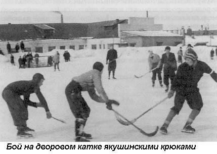 Вечнозеленое поле жизни - i_007.jpg