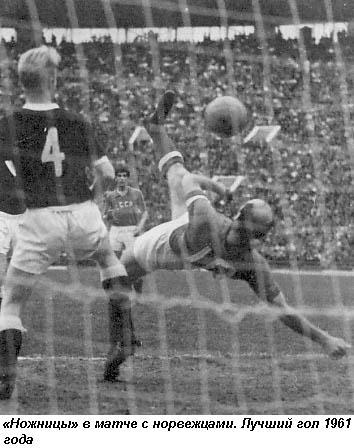 Вечнозеленое поле жизни - i_034.jpg