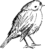 Про Светлану - _22.png