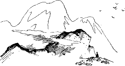 Светлана - наша Сейдеш - _21.png