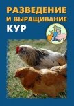 Разведение и выращивание кур - Мельников Илья