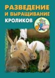 Разведение и выращивание кроликов - Мельников Илья