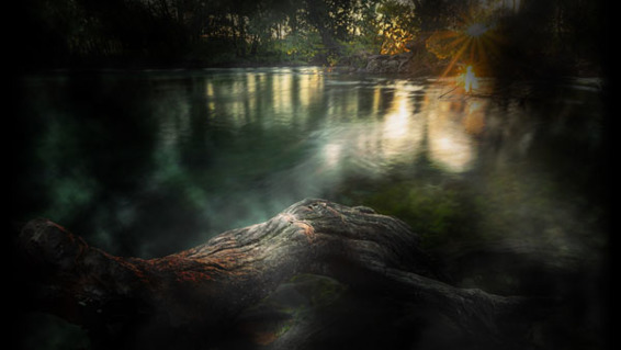 Книга «ТОТЕМ: Травоядные» (Часть 1)(СИ) - _1.jpg