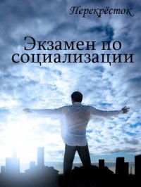 Экзамен по социализации (СИ) - Алексеева Оксана