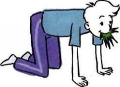 35 кило надежды - pic_17.jpg