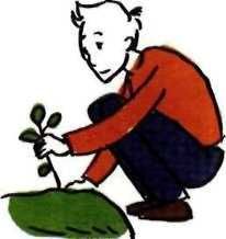 35 кило надежды - pic_37.jpg