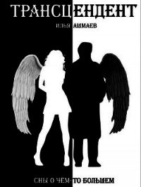 Трансцендент (СИ) - Ашмаев Илья