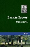 Одна ночь - Быков Василь Владимирович