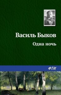 Одна ночь - Быков Василь Владимирович