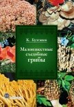 Малоизвестные съедобные грибы - Булгаков Касим Галиевич