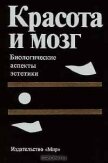 Красота и мозг. Биологические аспекты эстетики - Коллектив авторов