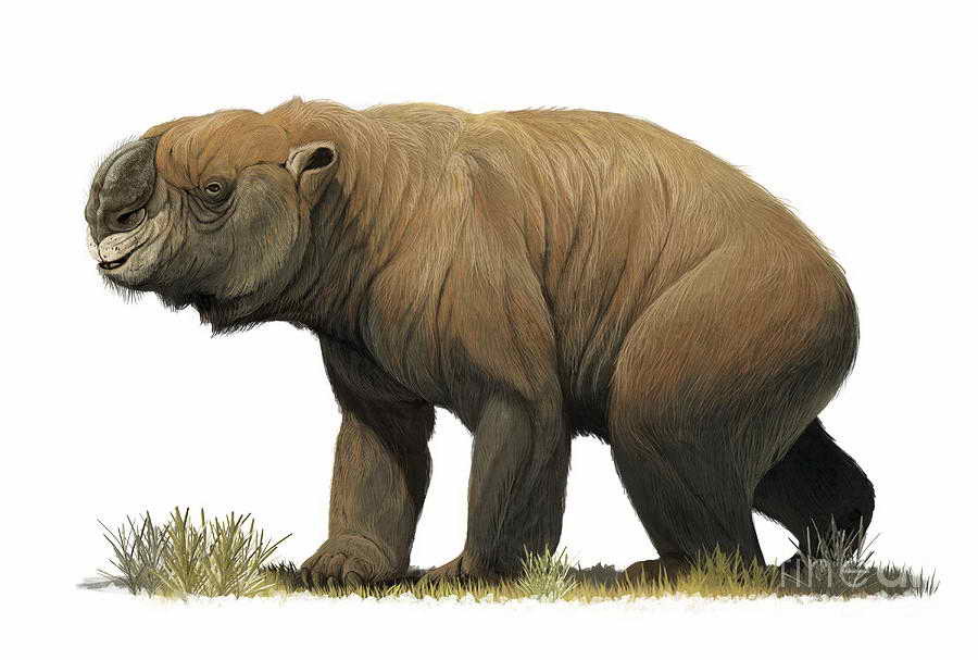 Sapiens. Краткая история человечества - i_017.jpg