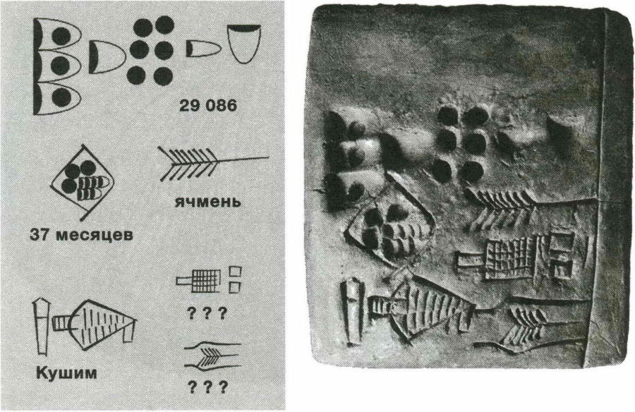 Sapiens. Краткая история человечества - i_035.jpg