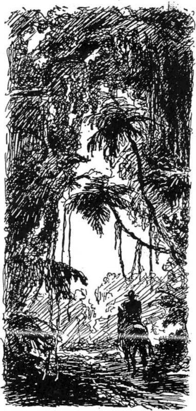 Неведомый груз<br />Сборник рассказов из журнала "Вокруг света" - i_004.jpg