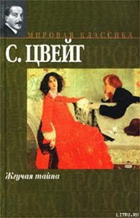 Читать книгу Жгучая тайна, автор Цвейг Стефан Жгучая тайна - Цвейг Стефан