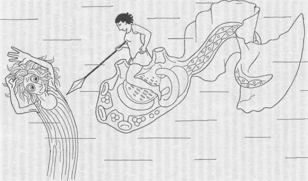 Беспозвоночные в мифологии, фольклоре и искусстве - _53.jpg