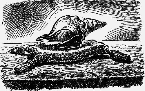 Перевернутое дерево - image43.png