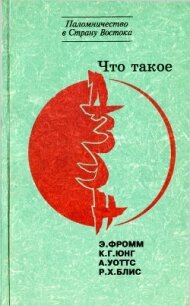 Что такое дзэн? - Блис Реджинальд Хорас