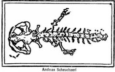 Война с саламандрами - pic_3.jpg