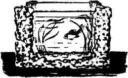 Мой живой уголок - i_002.jpg