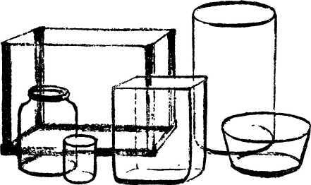 Мой живой уголок - i_007.jpg