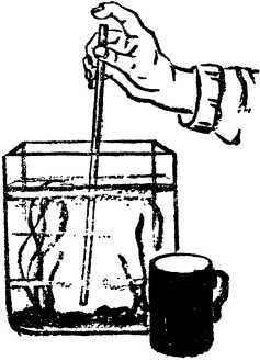 Мой живой уголок - i_012.jpg