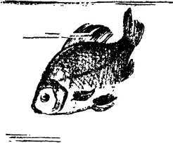 Мой живой уголок - i_015.jpg