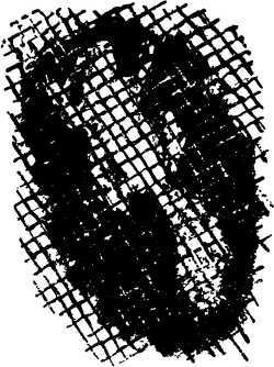 Мой живой уголок - i_045.jpg