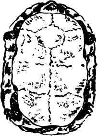 Мой живой уголок - i_090.jpg