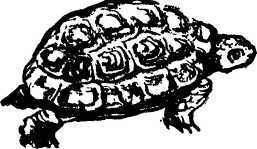 Мой живой уголок - i_091.jpg