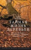 Читать книгу Тайная жизнь деревьев. Что они чувствуют, как они общаются – открытие сокровенного мира, автор Вольлебен Петер Тайная жизнь деревьев. Что они чувствуют, как они общаются – открытие сокровенного мира - Вольлебен Петер
