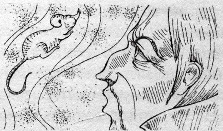 Покупатели мечты - _29.jpg