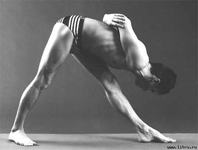 Йога. Искусство коммуникации (Издание второе, исправленное) - image113.jpg