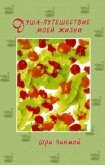 Читать книгу Шри Чинмой. Душа - путешествие моей жизни, автор Чинмой Шри Шри Чинмой. Душа - путешествие моей жизни - Чинмой Шри