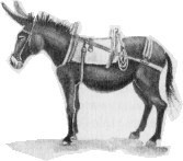 Край без Короля или Могу копать, могу не копать - _005.jpg