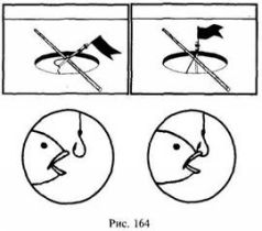 Школа выживания в природных условиях - pic_155.jpg